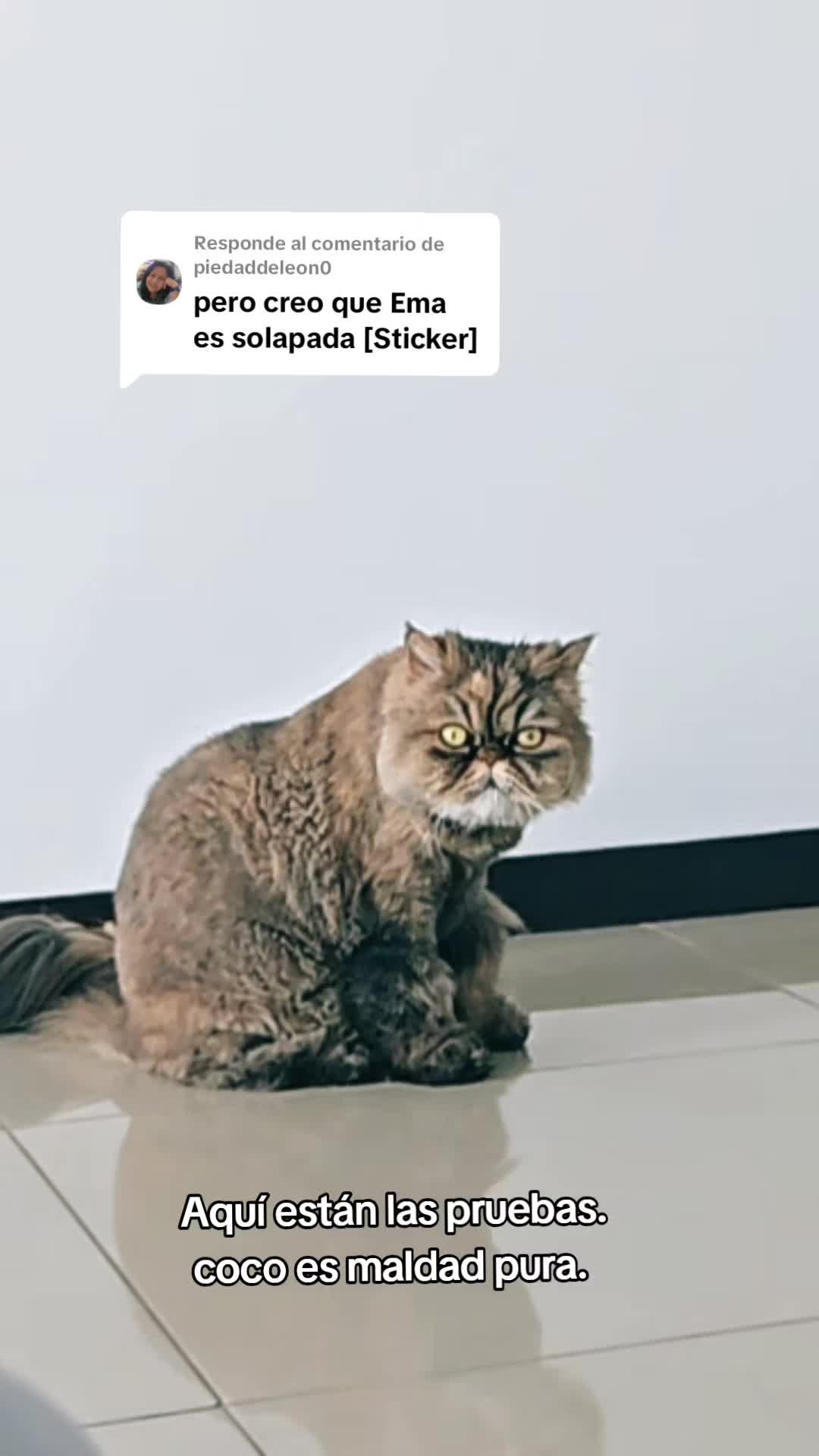 @Luna