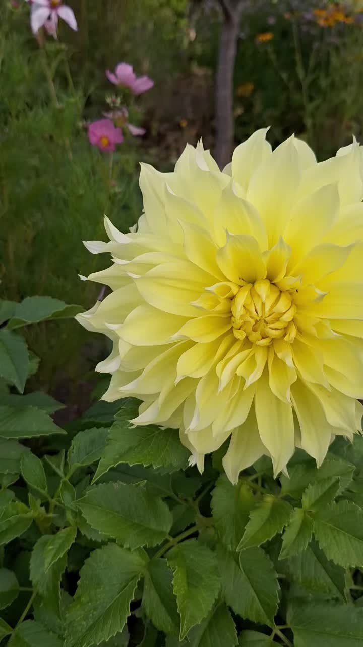 @Natur und Garten