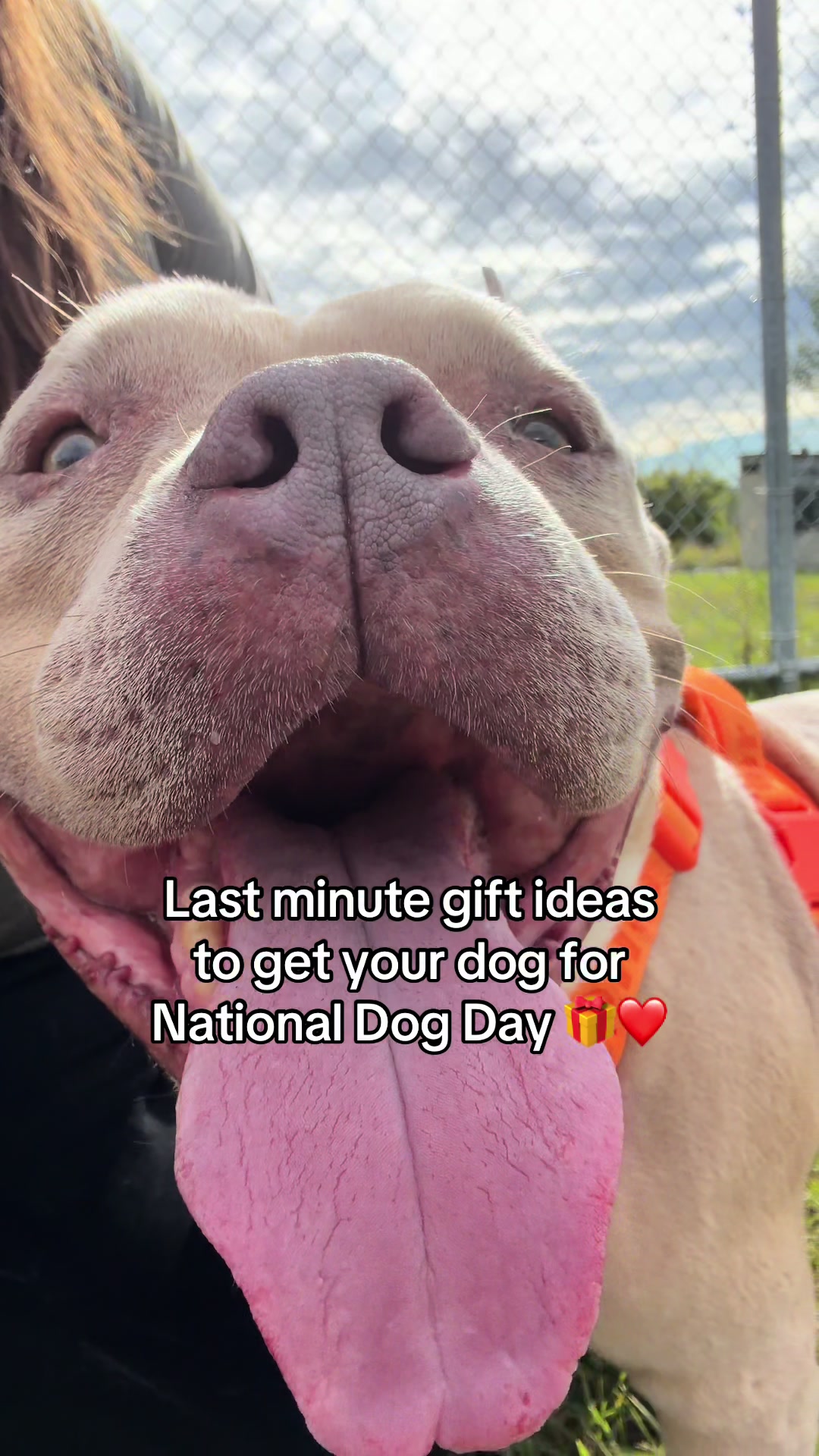@Calgary Humane Society