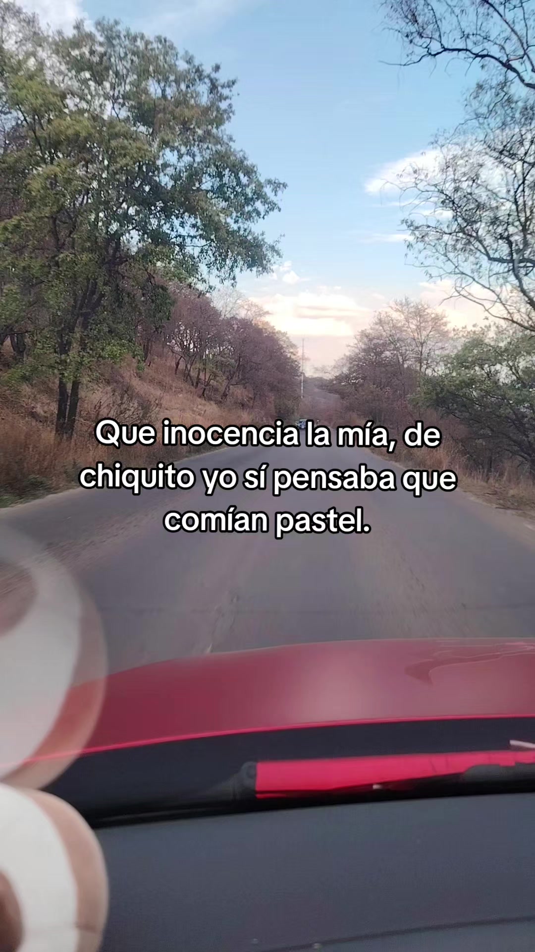 @Gerardo McQueen