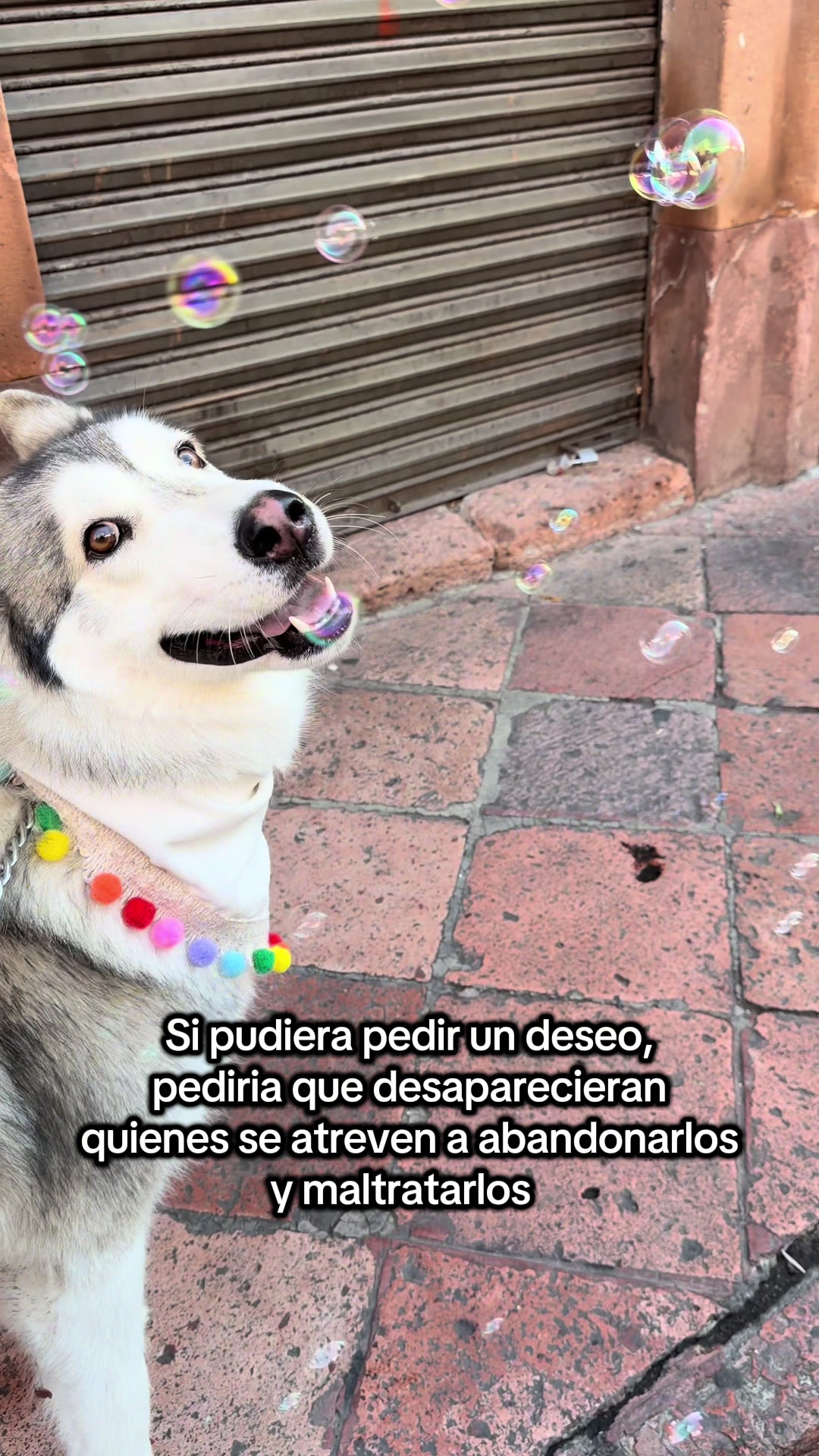 @KZ
