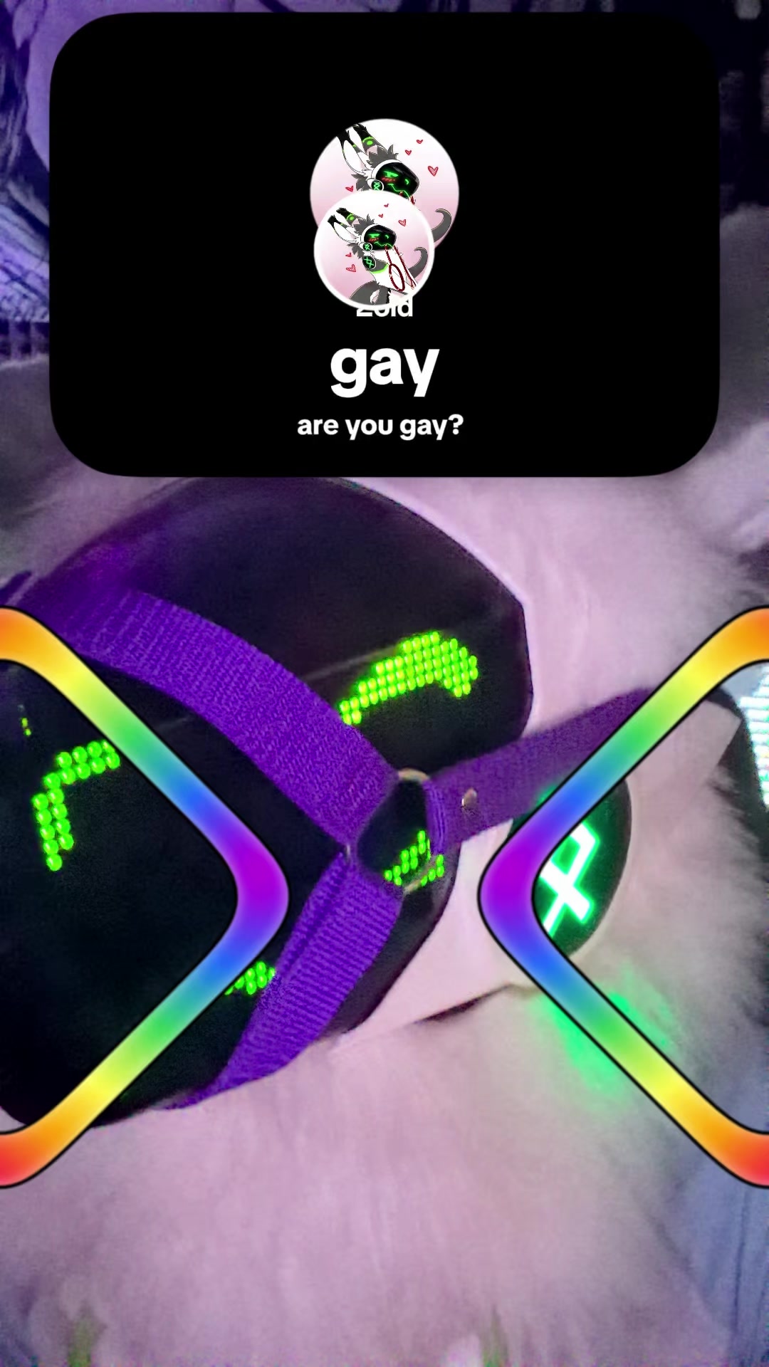 @Zoid