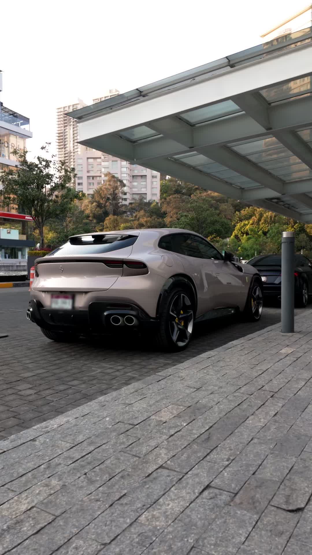 @Exotics.mx