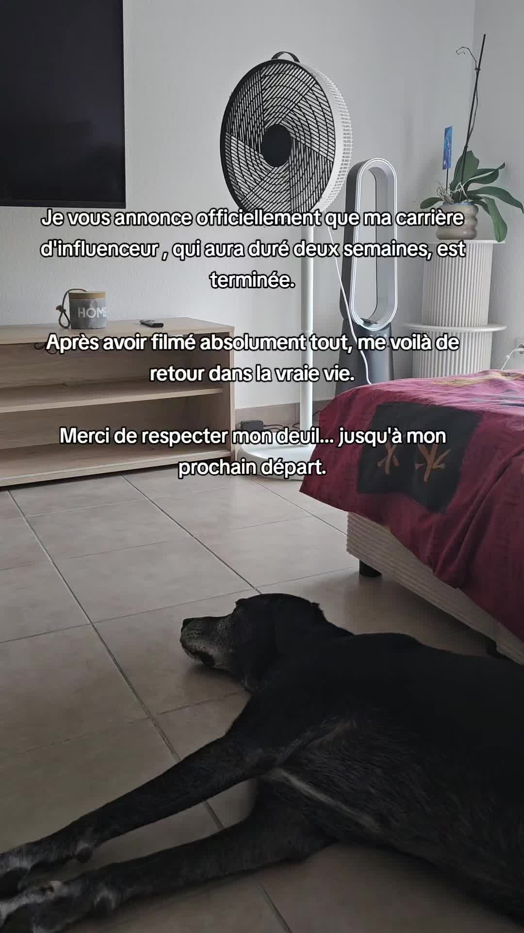 @Ne&iuml;ko Ne&iuml;ko