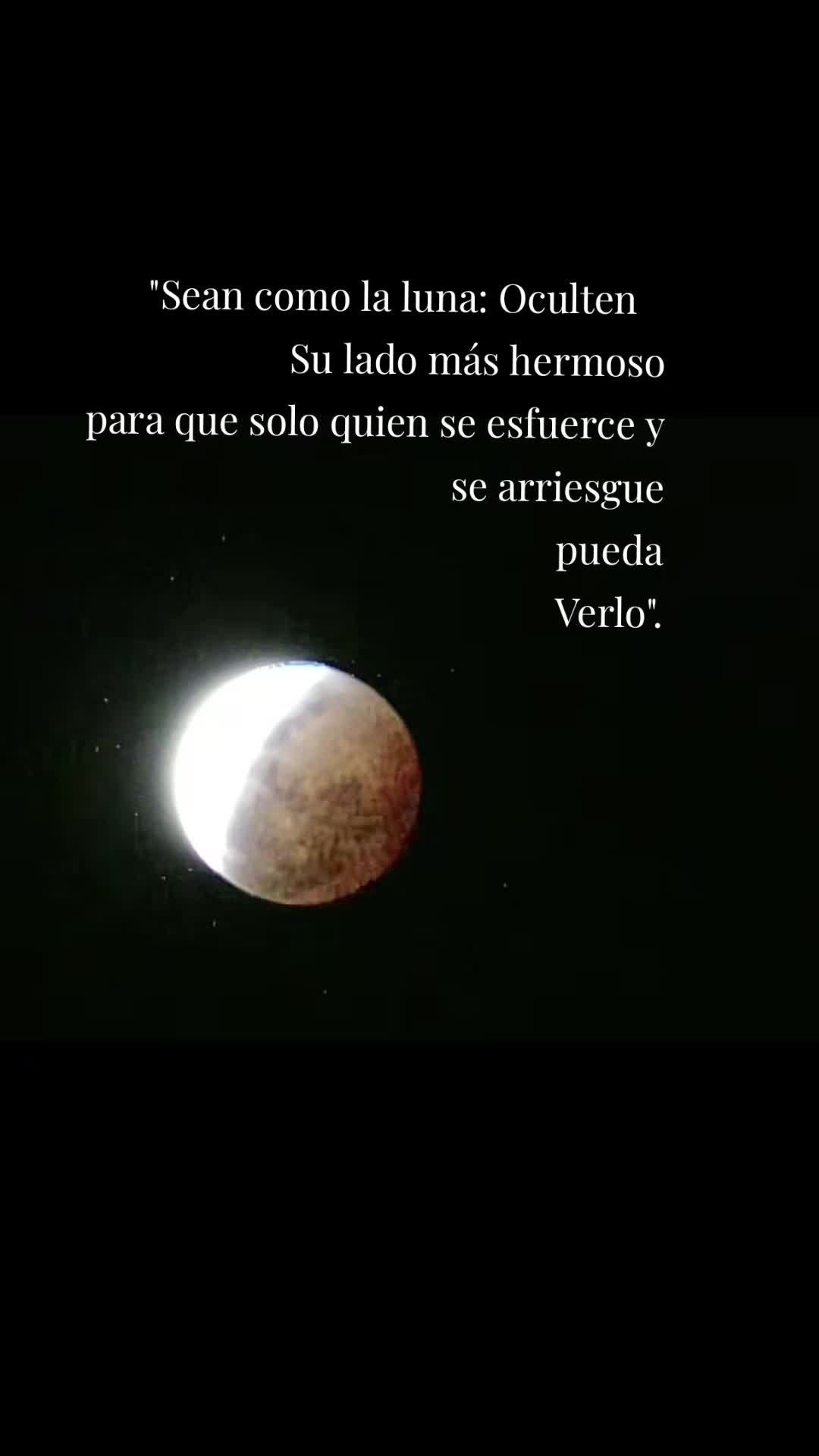 @Gabriela Torrico Tor