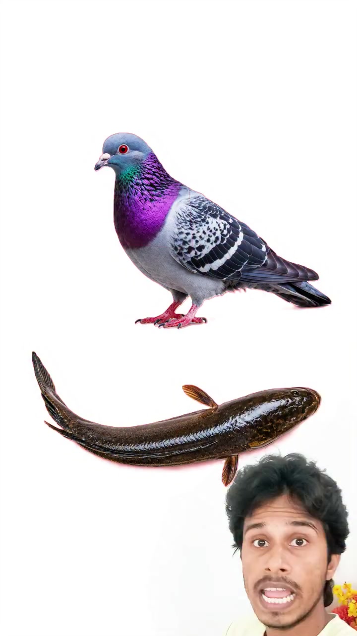 @PRAJAPATI
