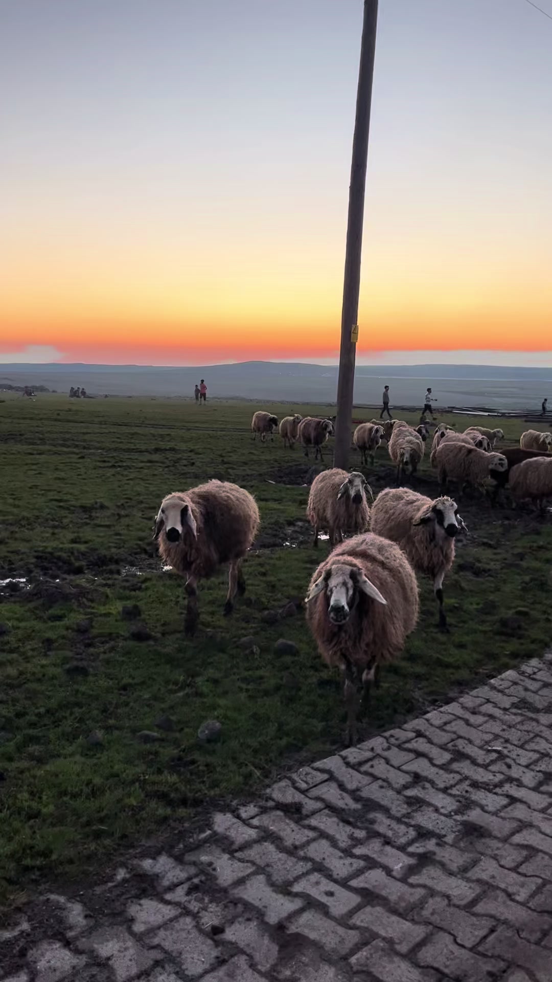 @VEYSEL KARAKAŞ
