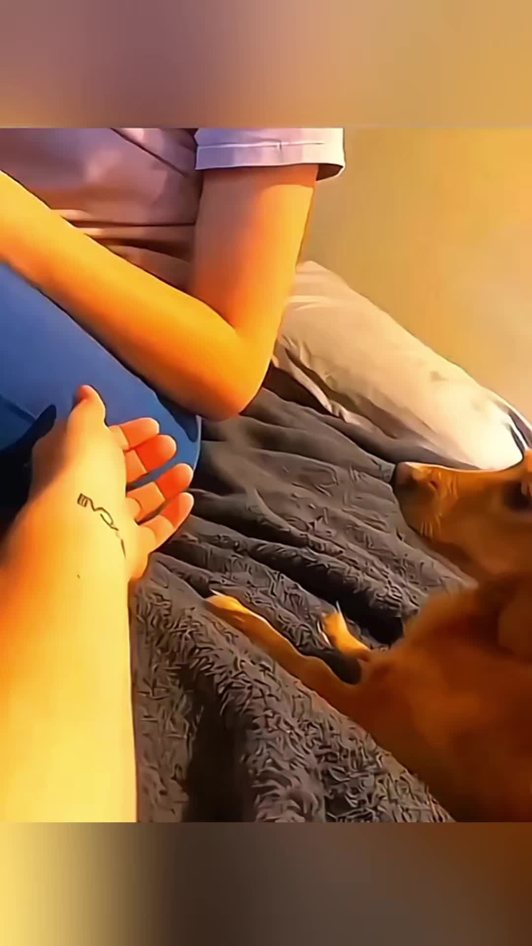 @Cute Pet ❤😘