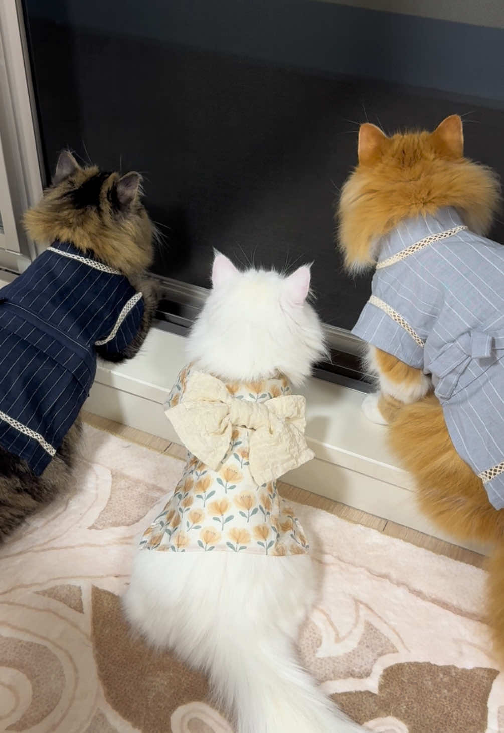@ごろ