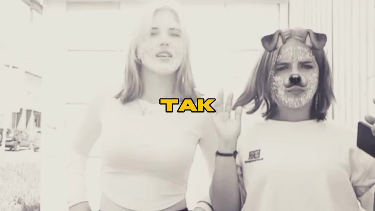 @meowwq.