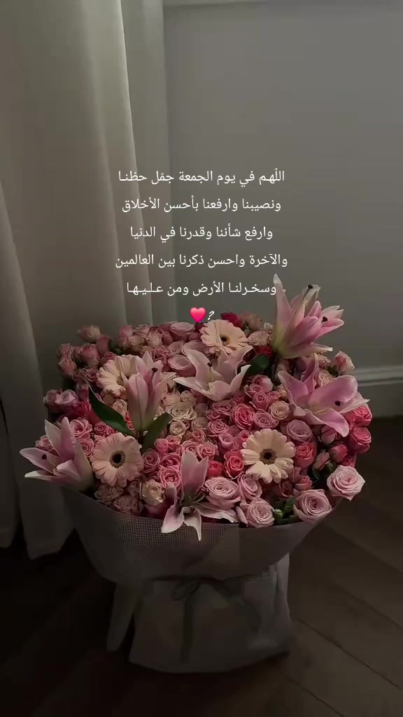 @مندوب ابها