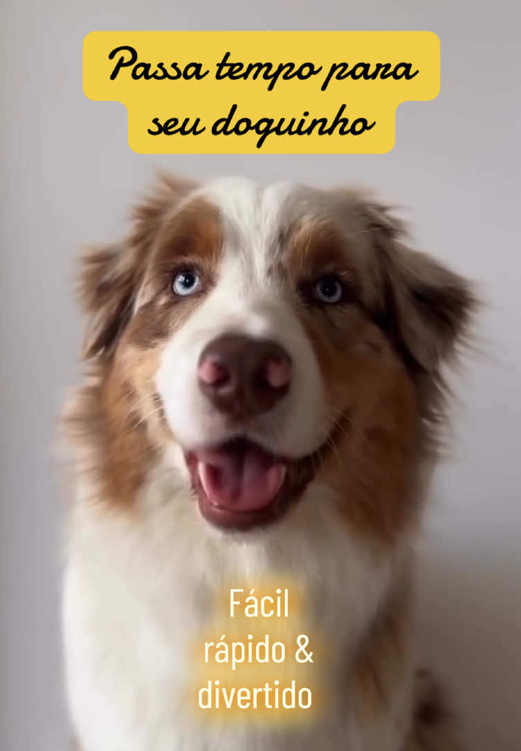 @dogsagaz