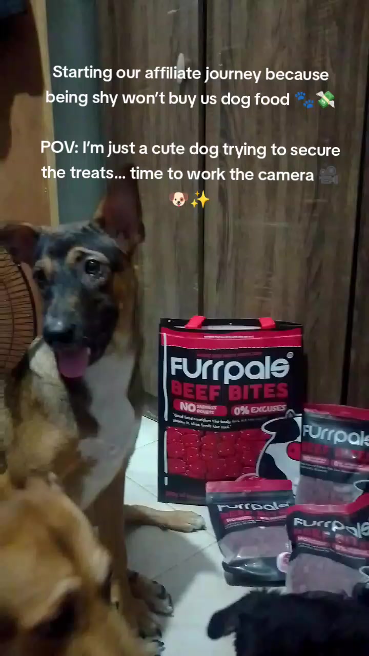 @Pawparazzi_daily