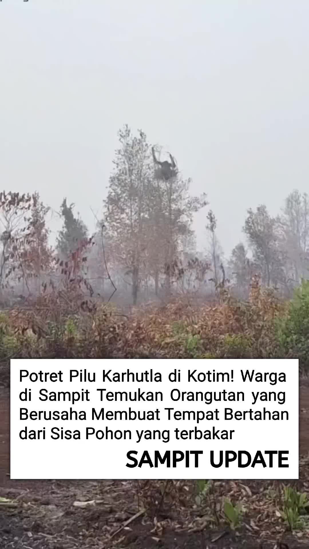 @sampit.update