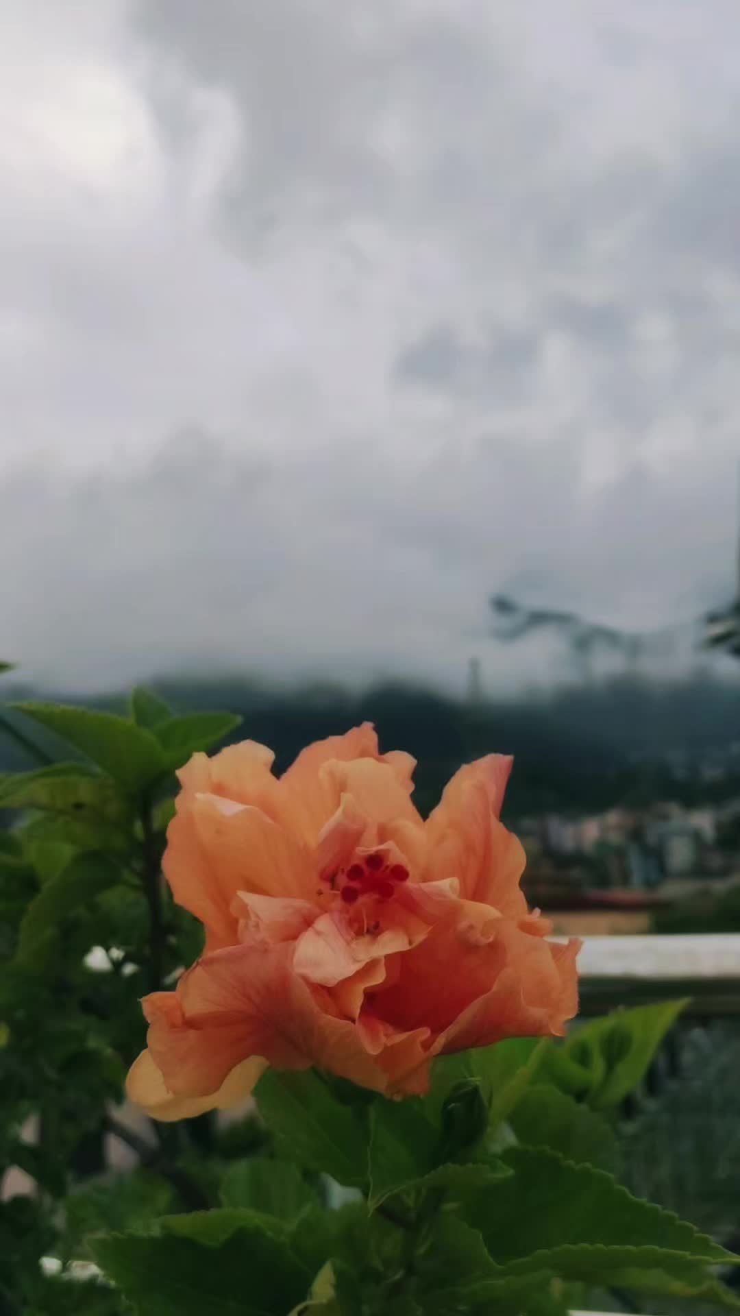 @Bhumi☘️