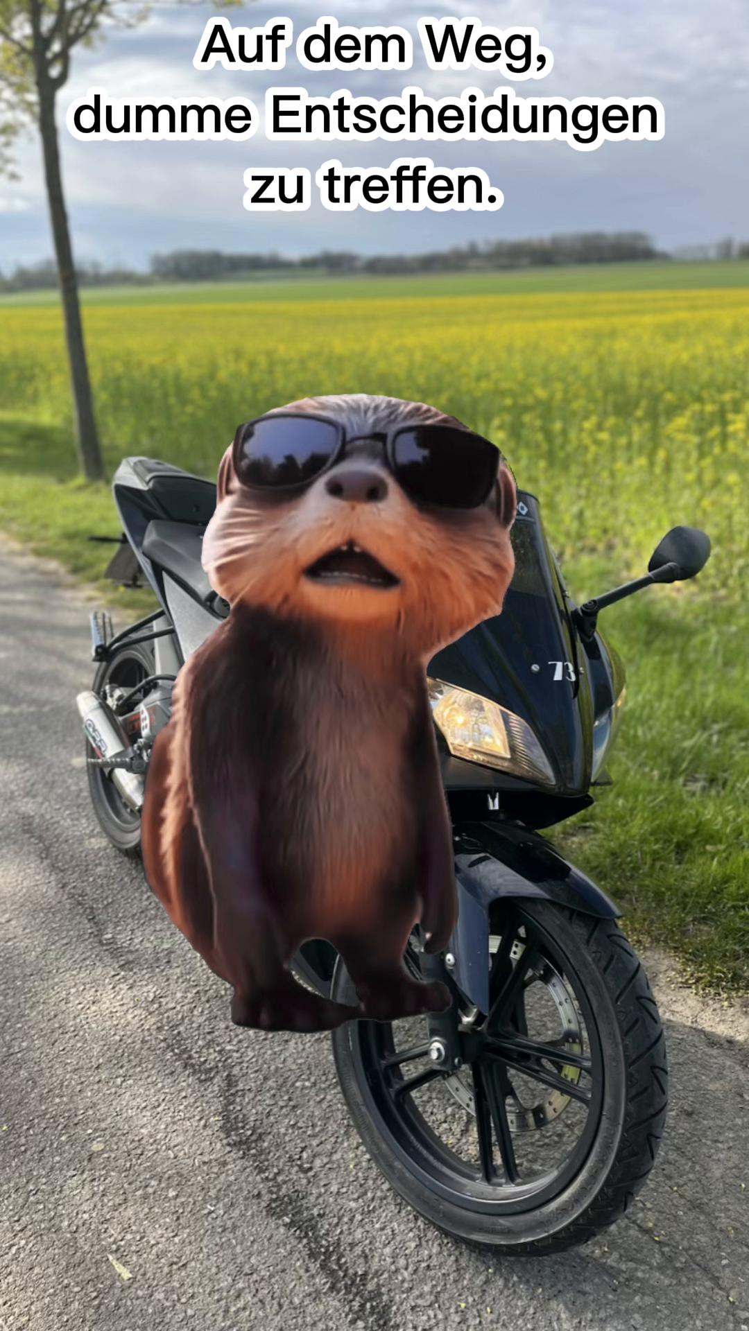 @dirks_yzfr125