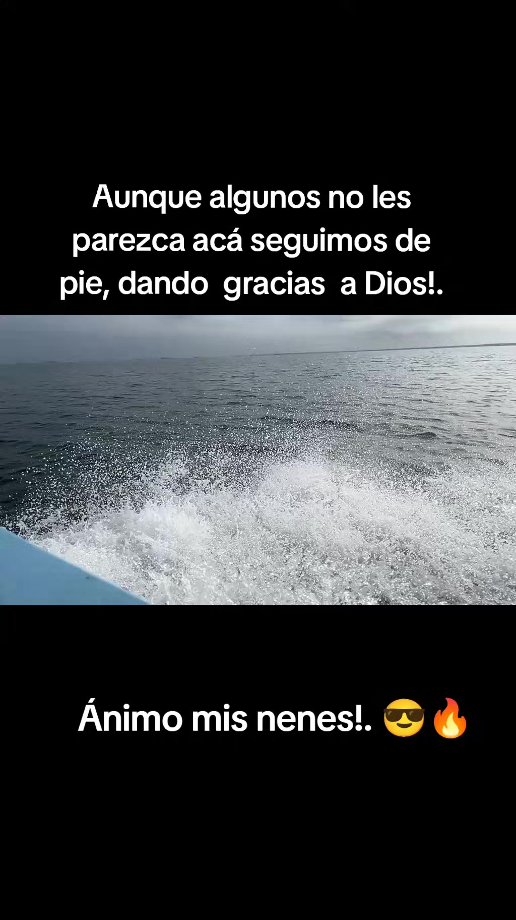 @tigre_502