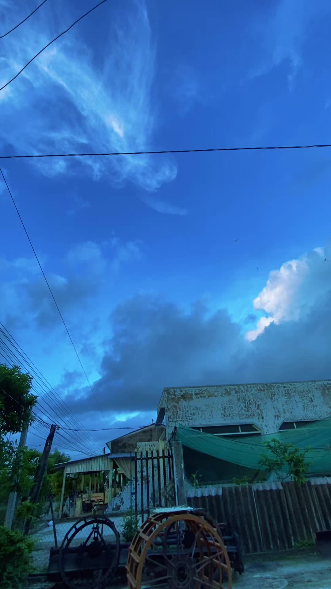 @Minh Tâm