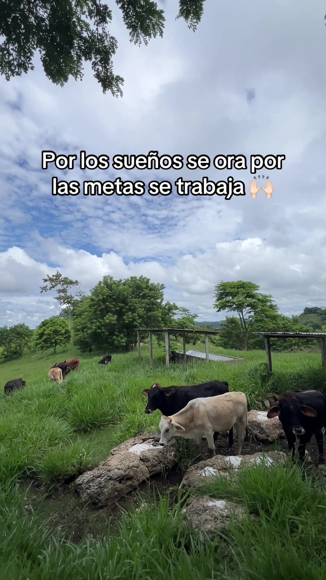 @ALVAREZ 🤠♥️