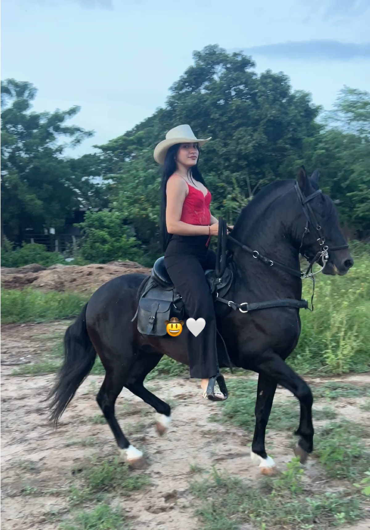 @✨Nicoll valeria✨