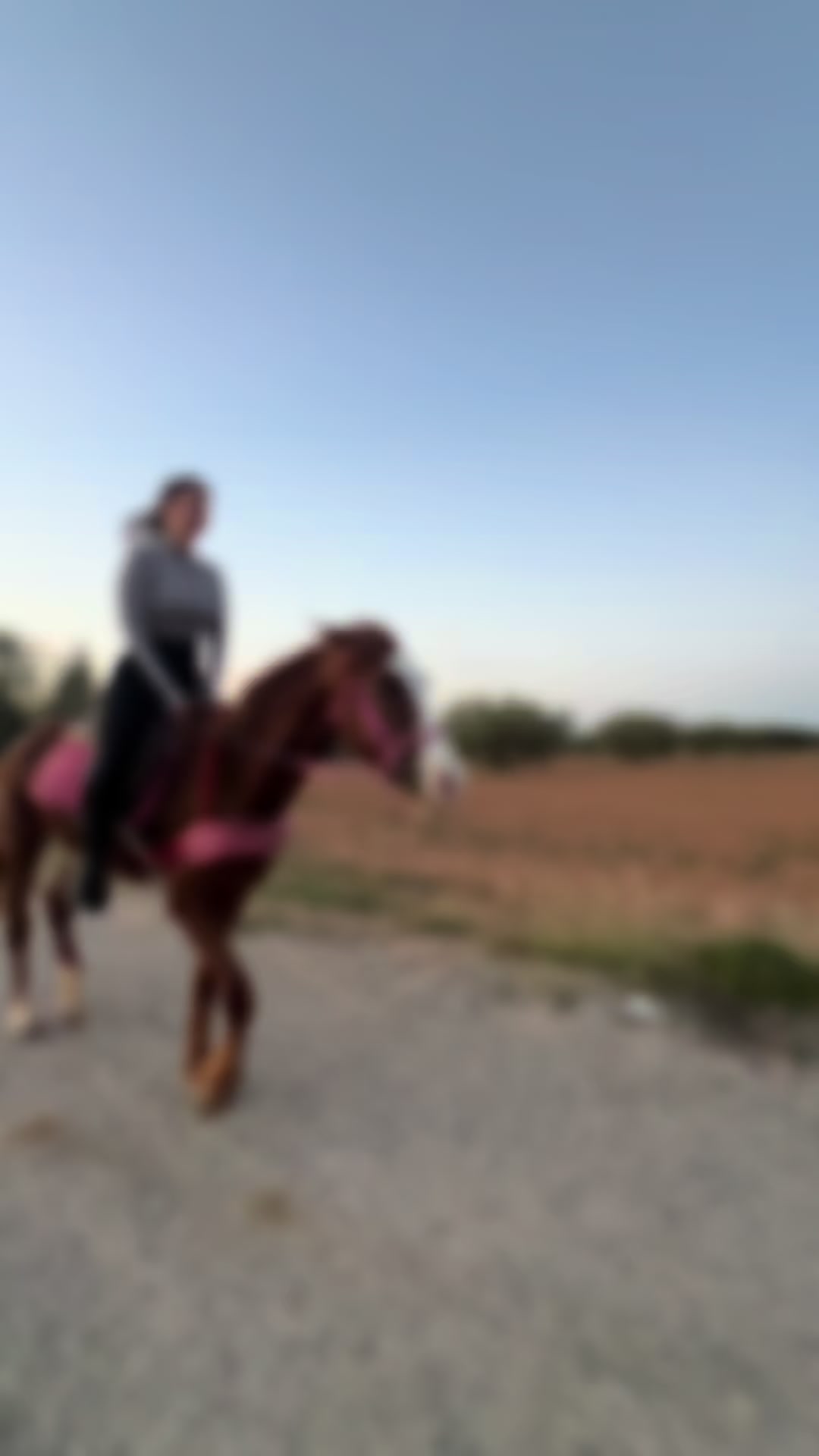 @Oumayma Rekik