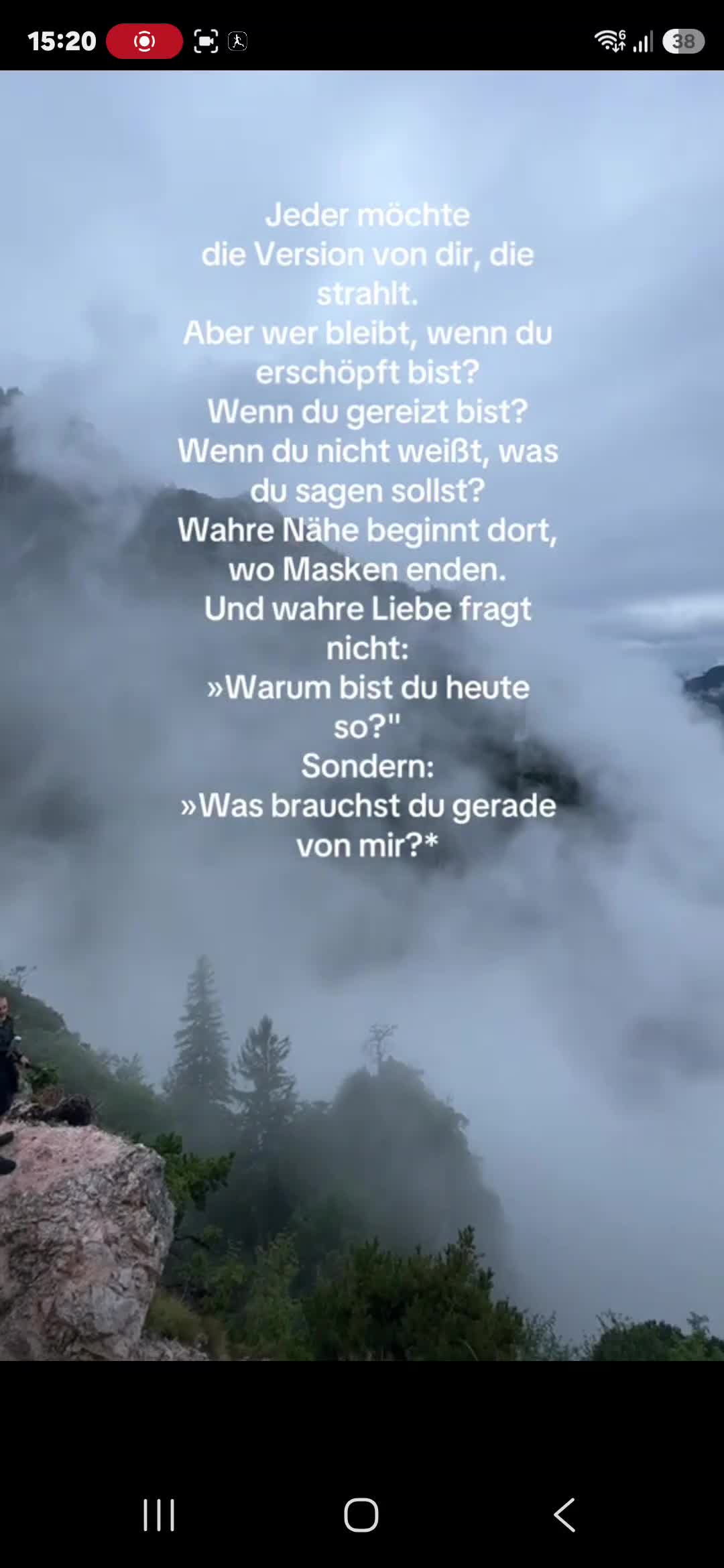 @1981
