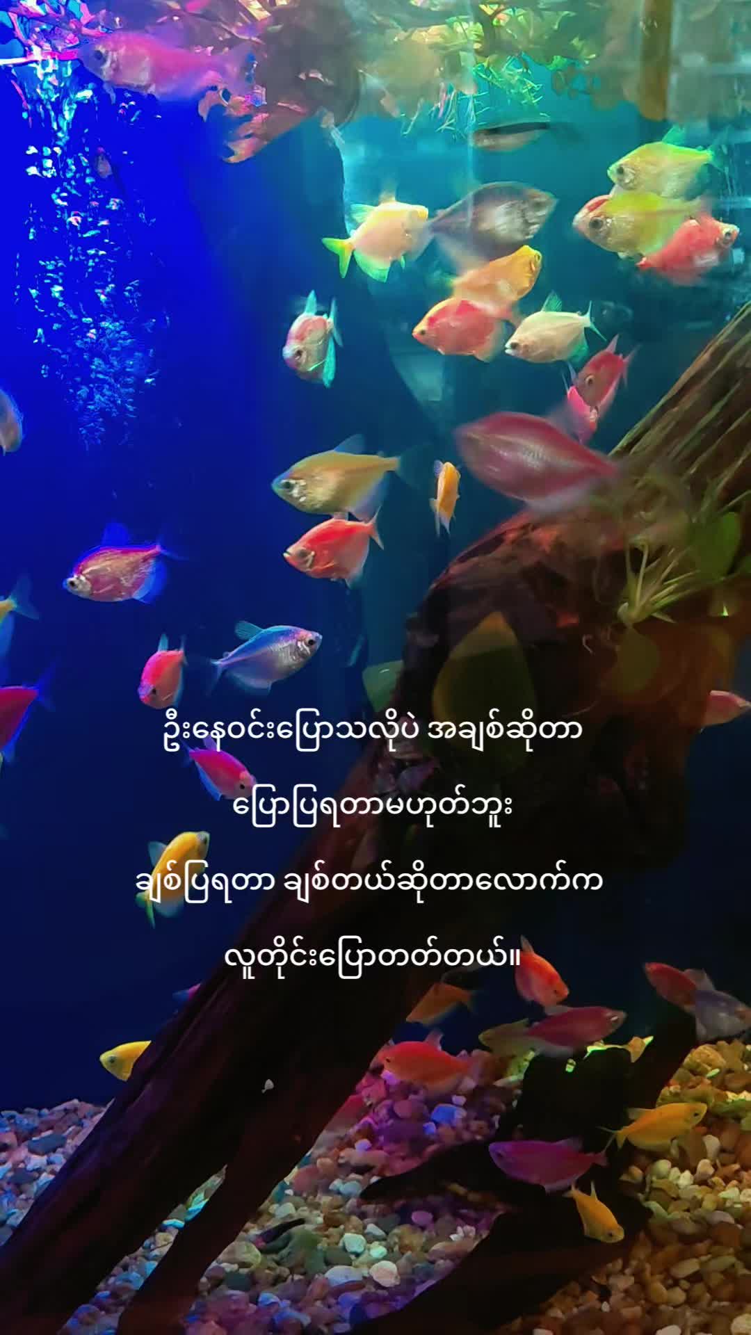 @Twetar