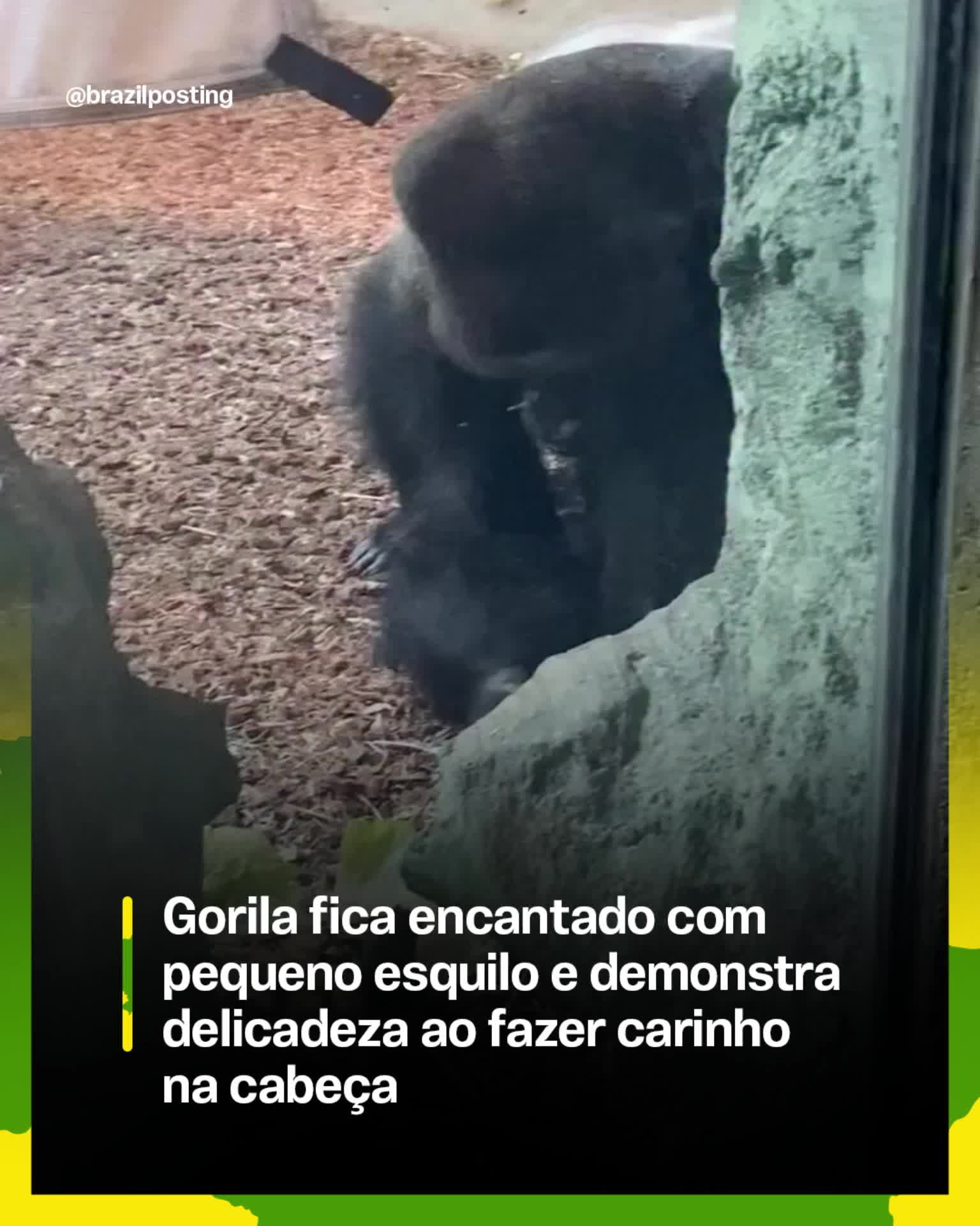 @Brazil Posting