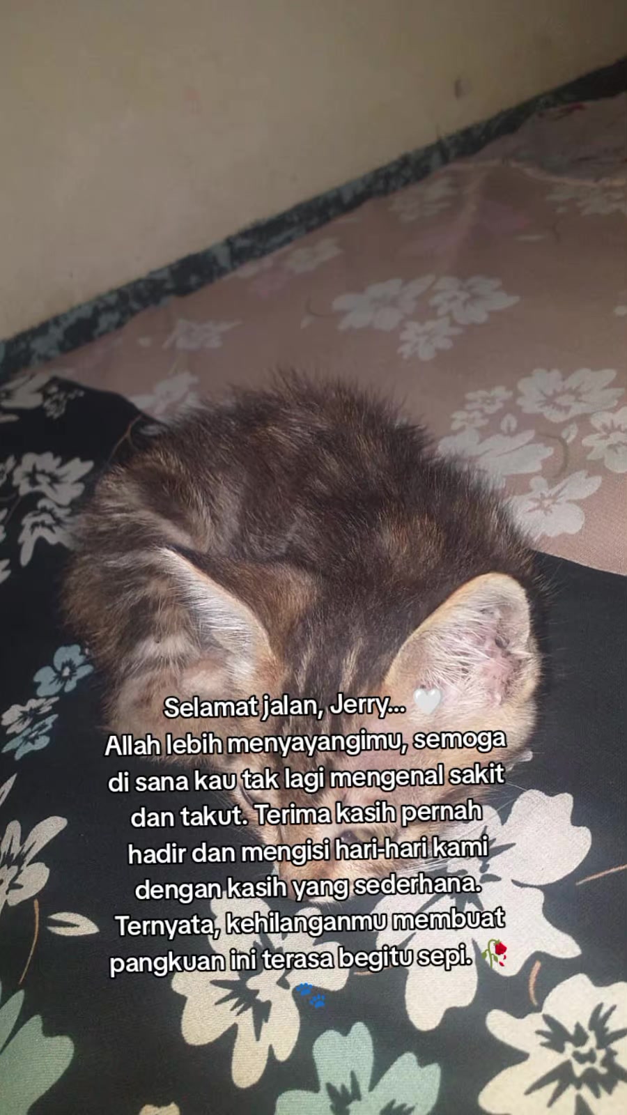 @Lina herlina