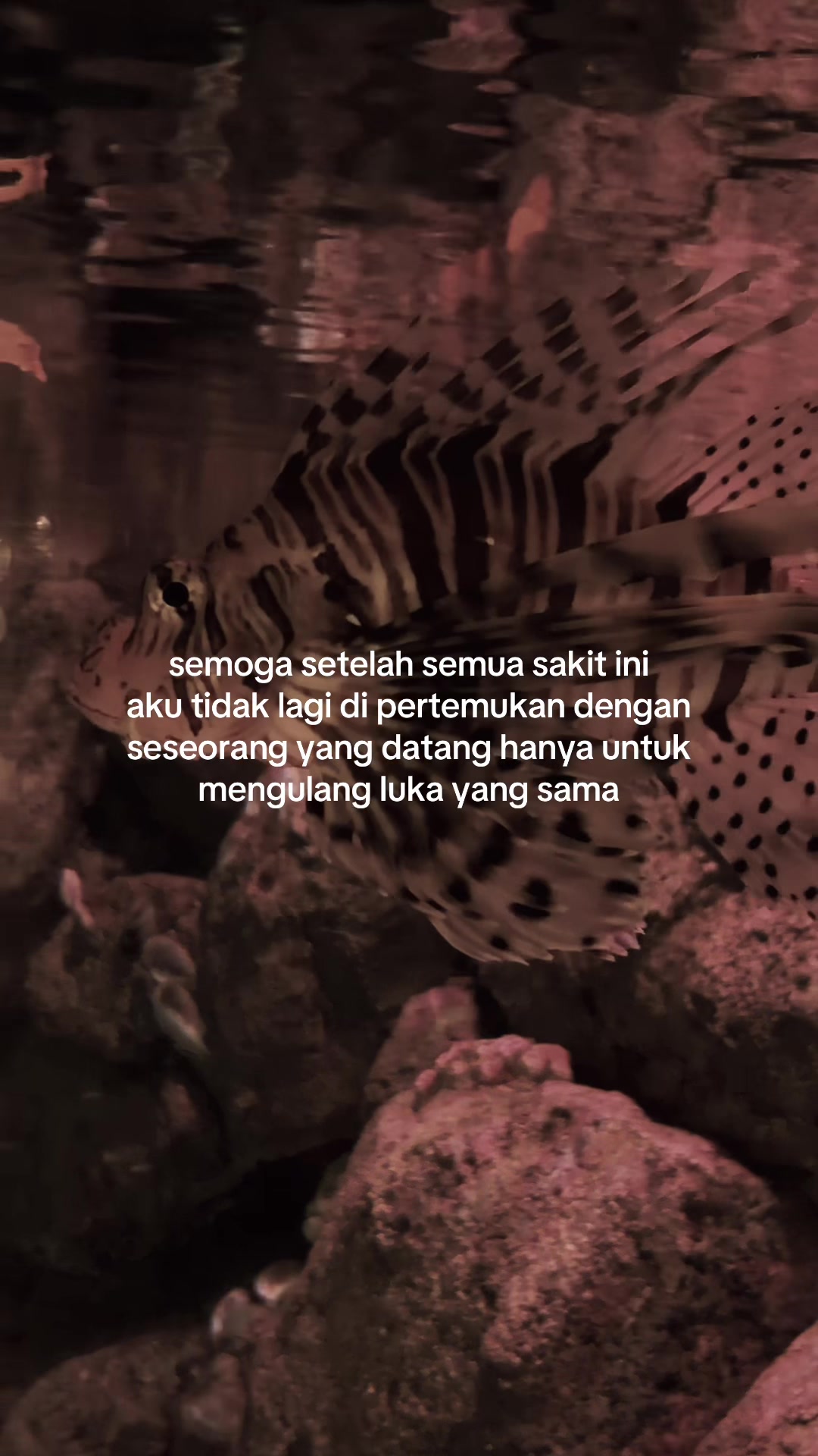 @Aby