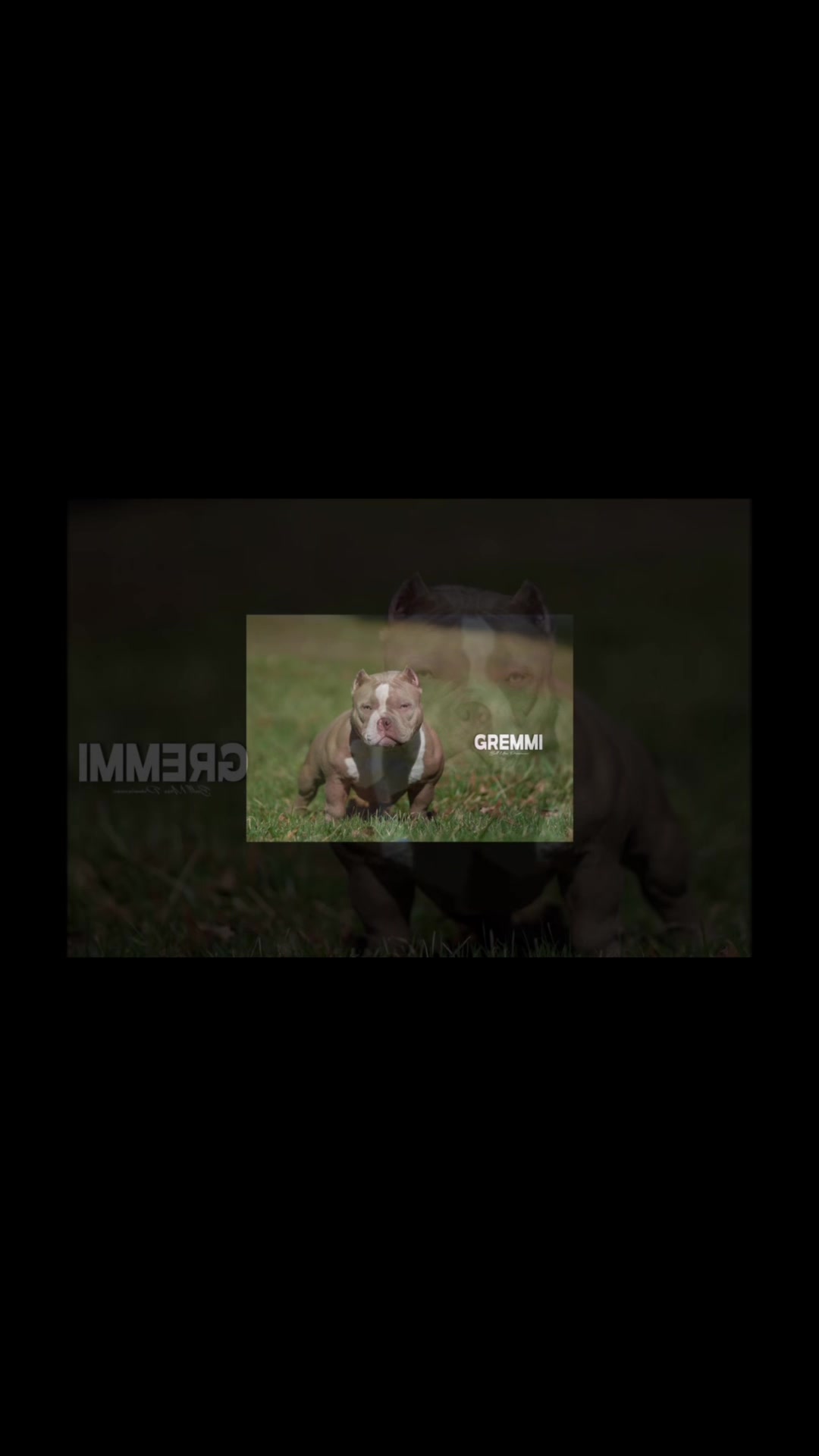@BullMassProminence
