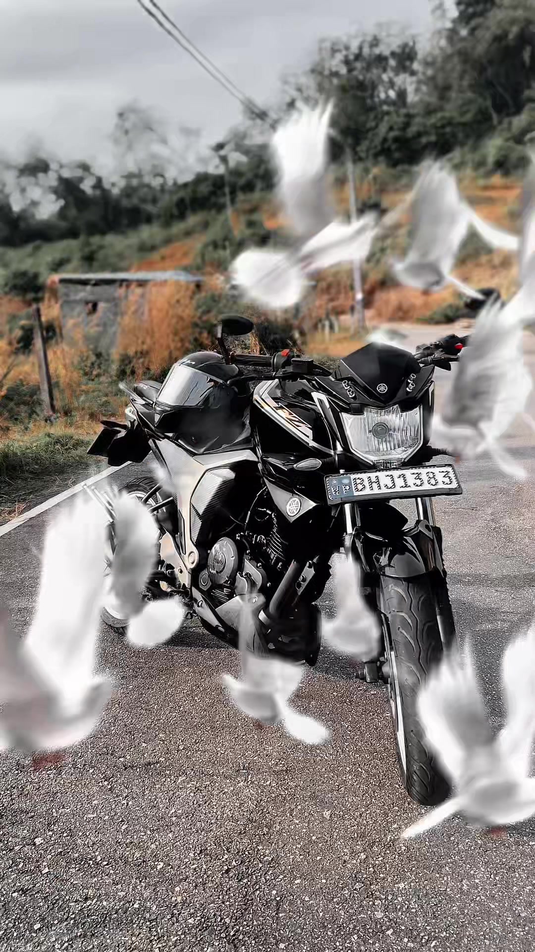@✨ Ā᥉𝕙ᥱп 👮♂