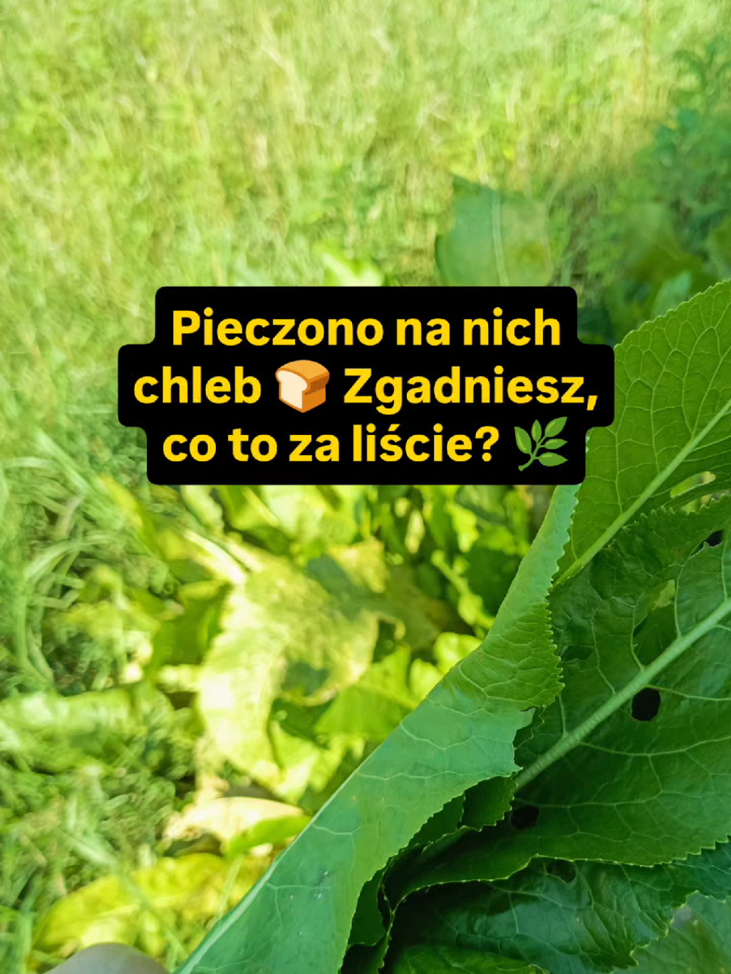 @Chwila Na Naturę🌿