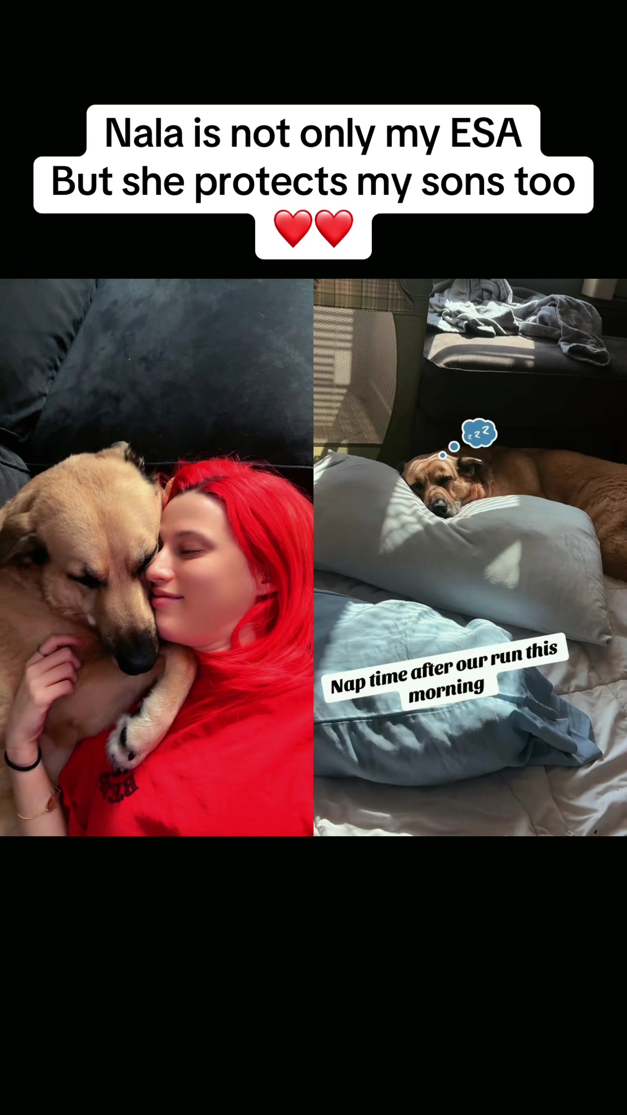 @VelvetCalypso🎟️🧨🦖