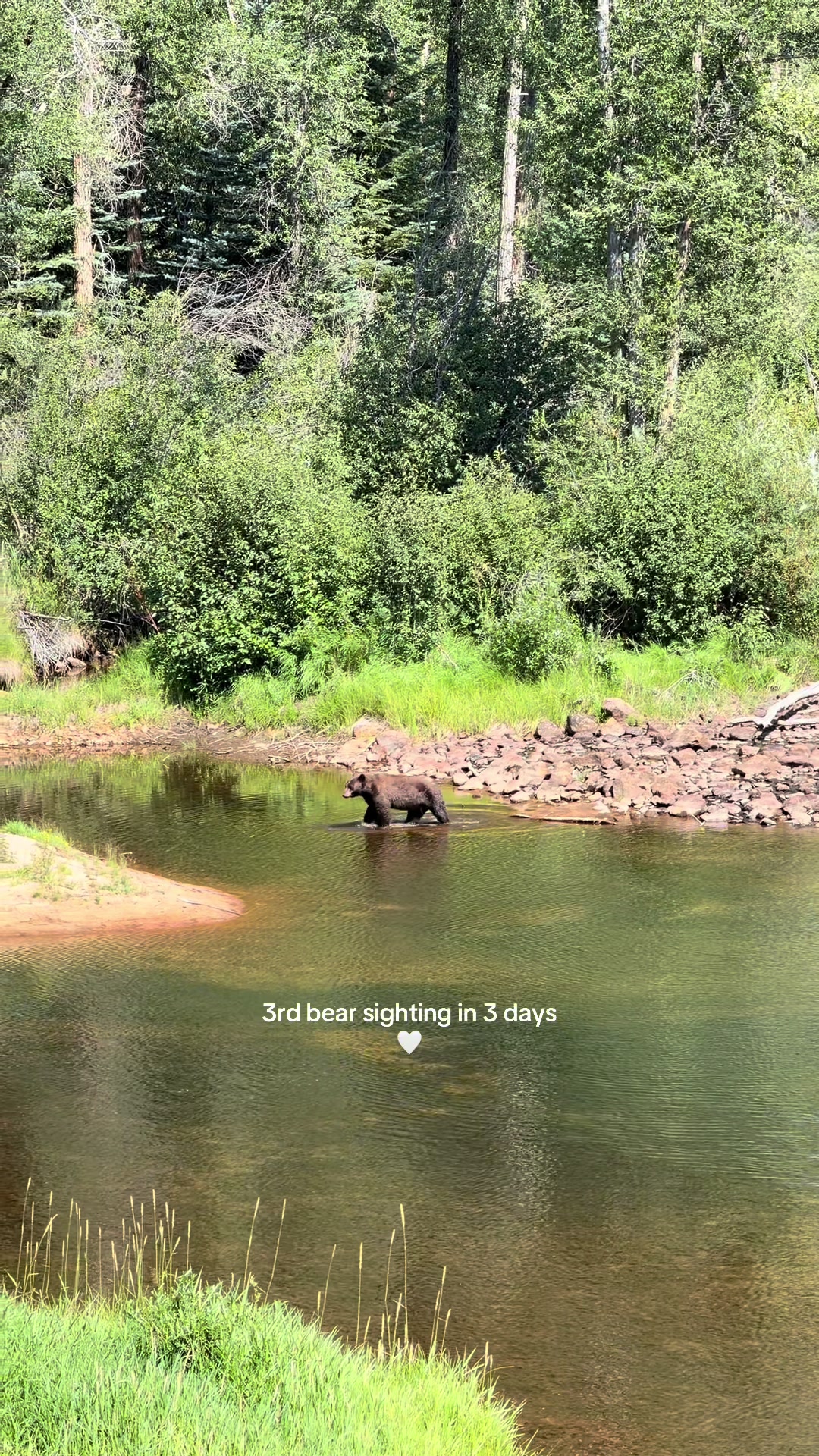 @Ellie G