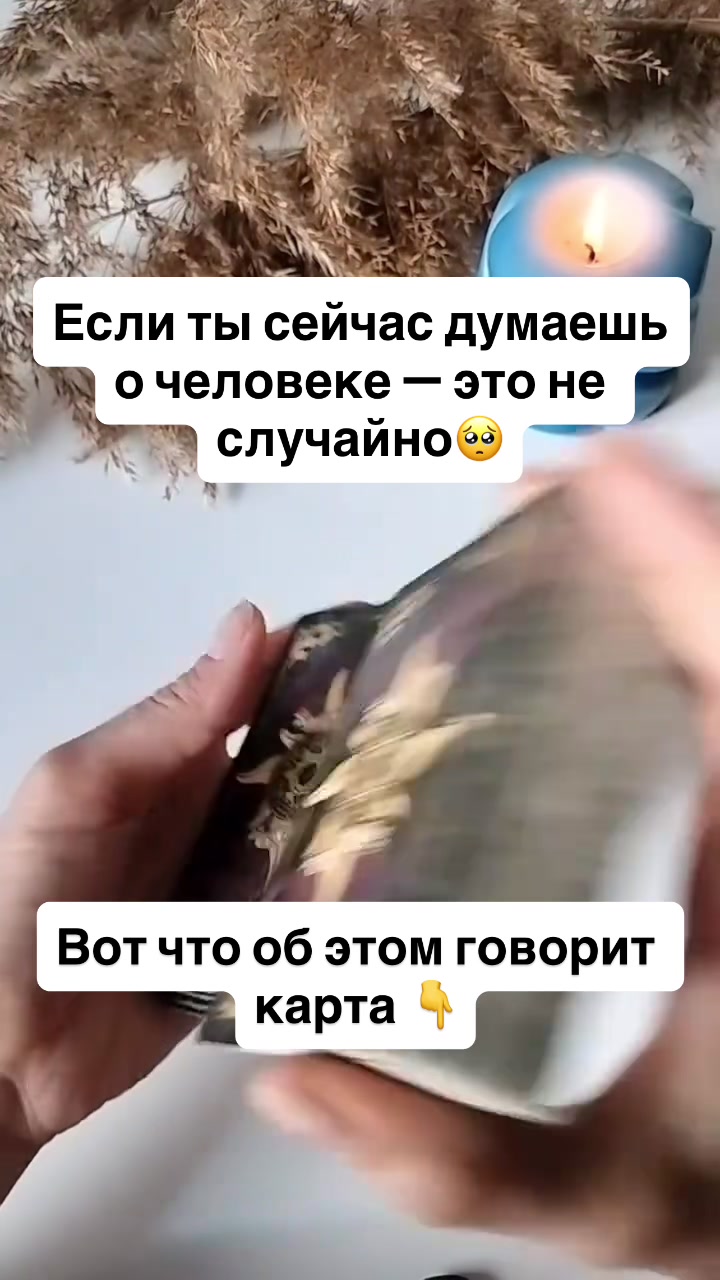 @Твой AI оракул🔮