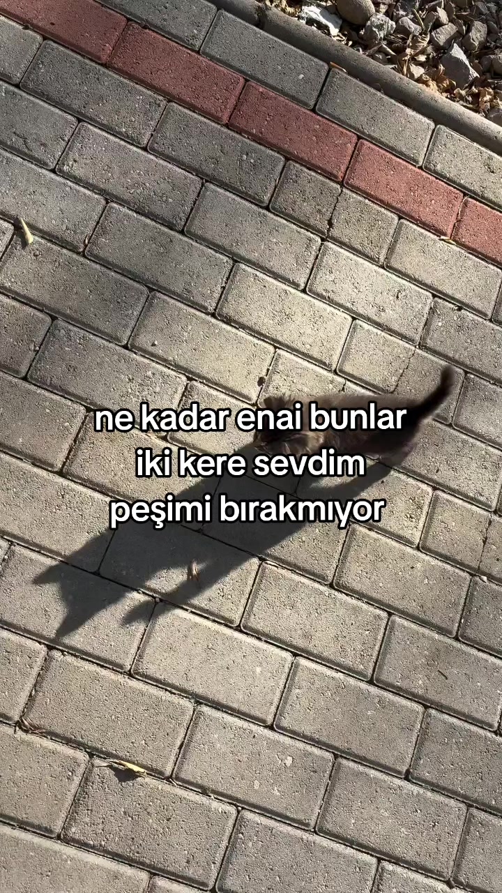 @rolland