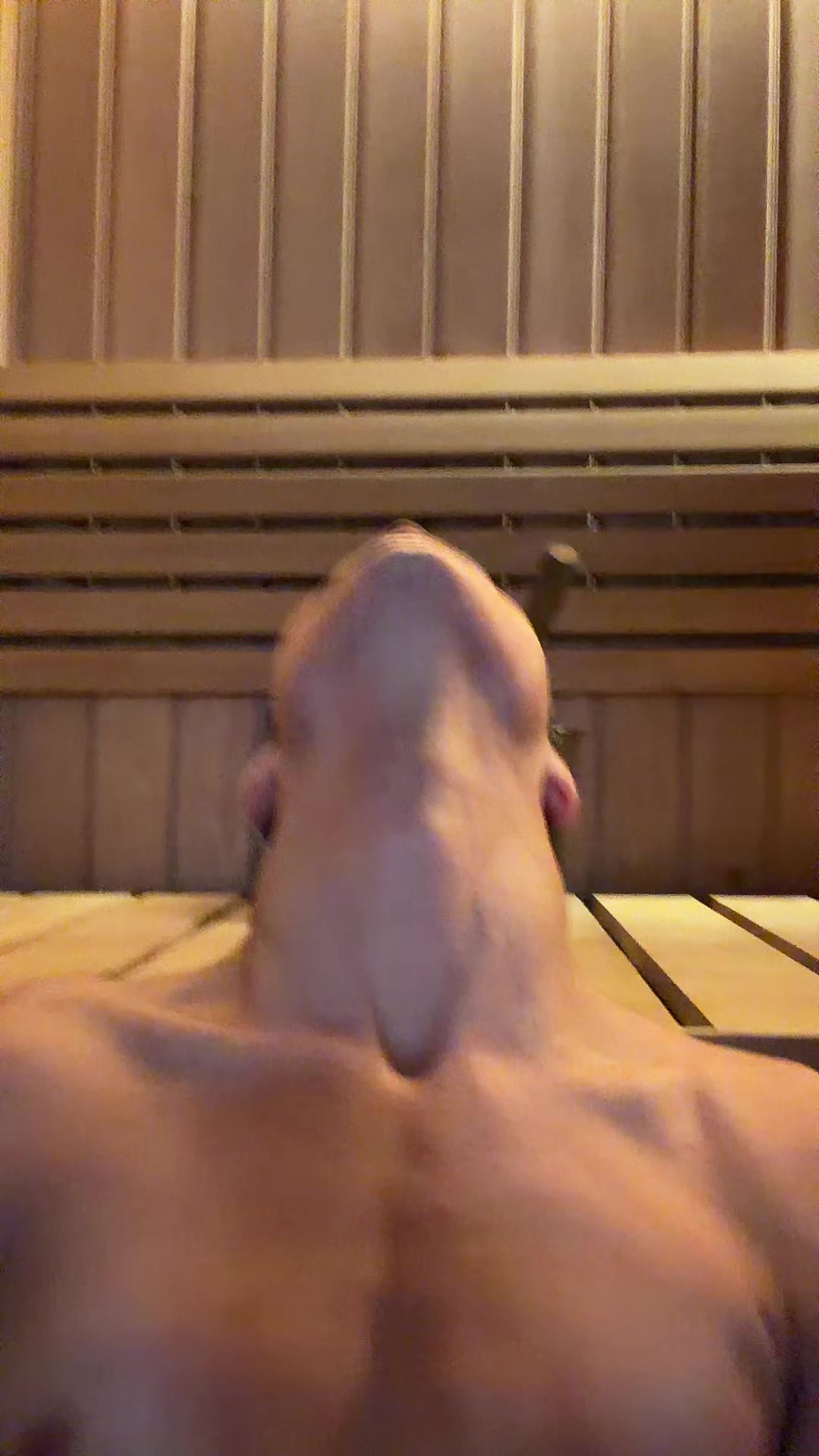 @josesayshey