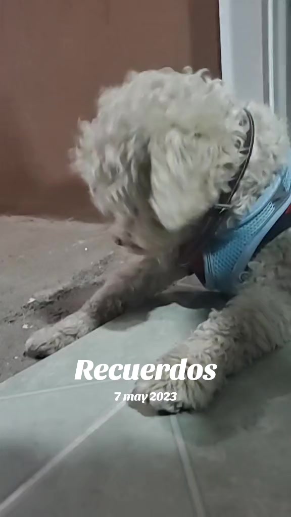 @RuBi