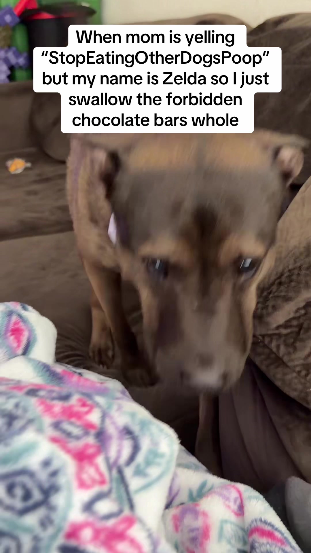 @ribbonunfiltered