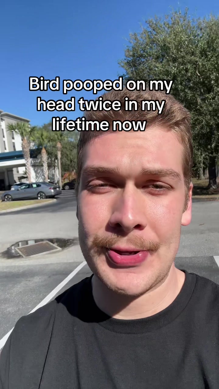 @gav