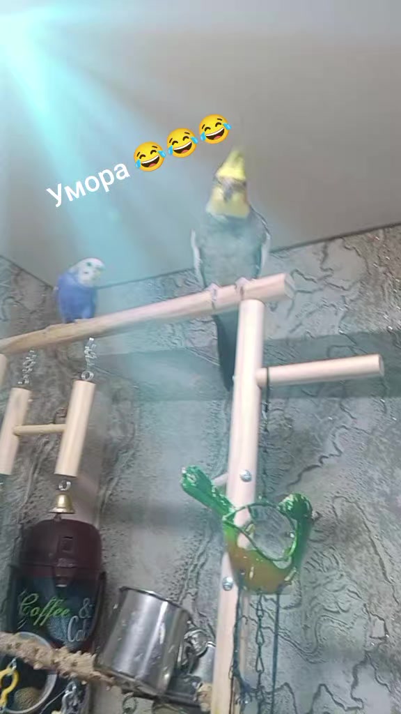 @Натали 🥰🥰🥰🥰☑️☑️☑️