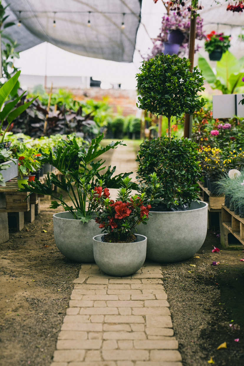 @Macetare Garden Shop Ecuador