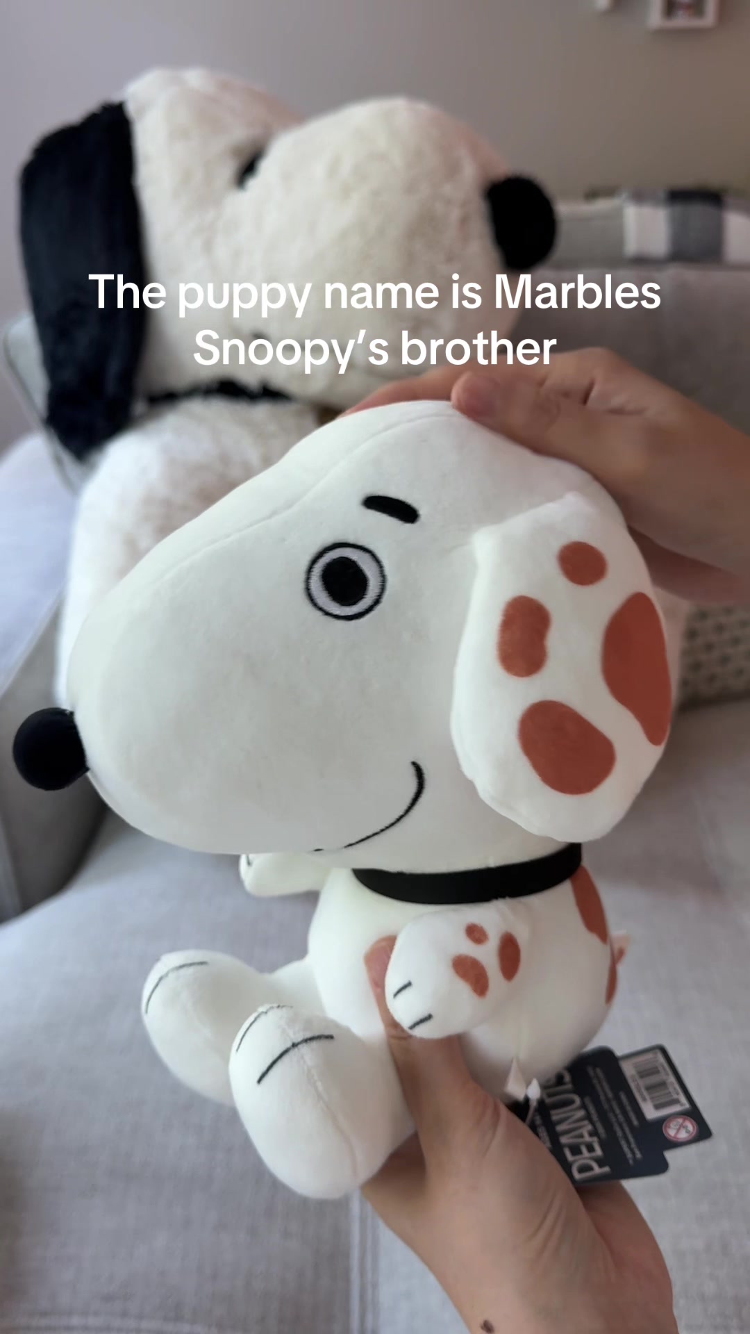 @SunniSnoopy | PEANUTS