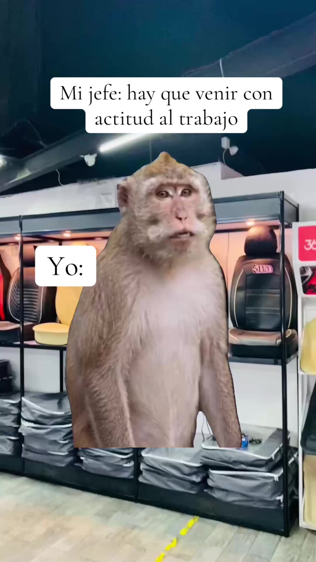 @Platinomex