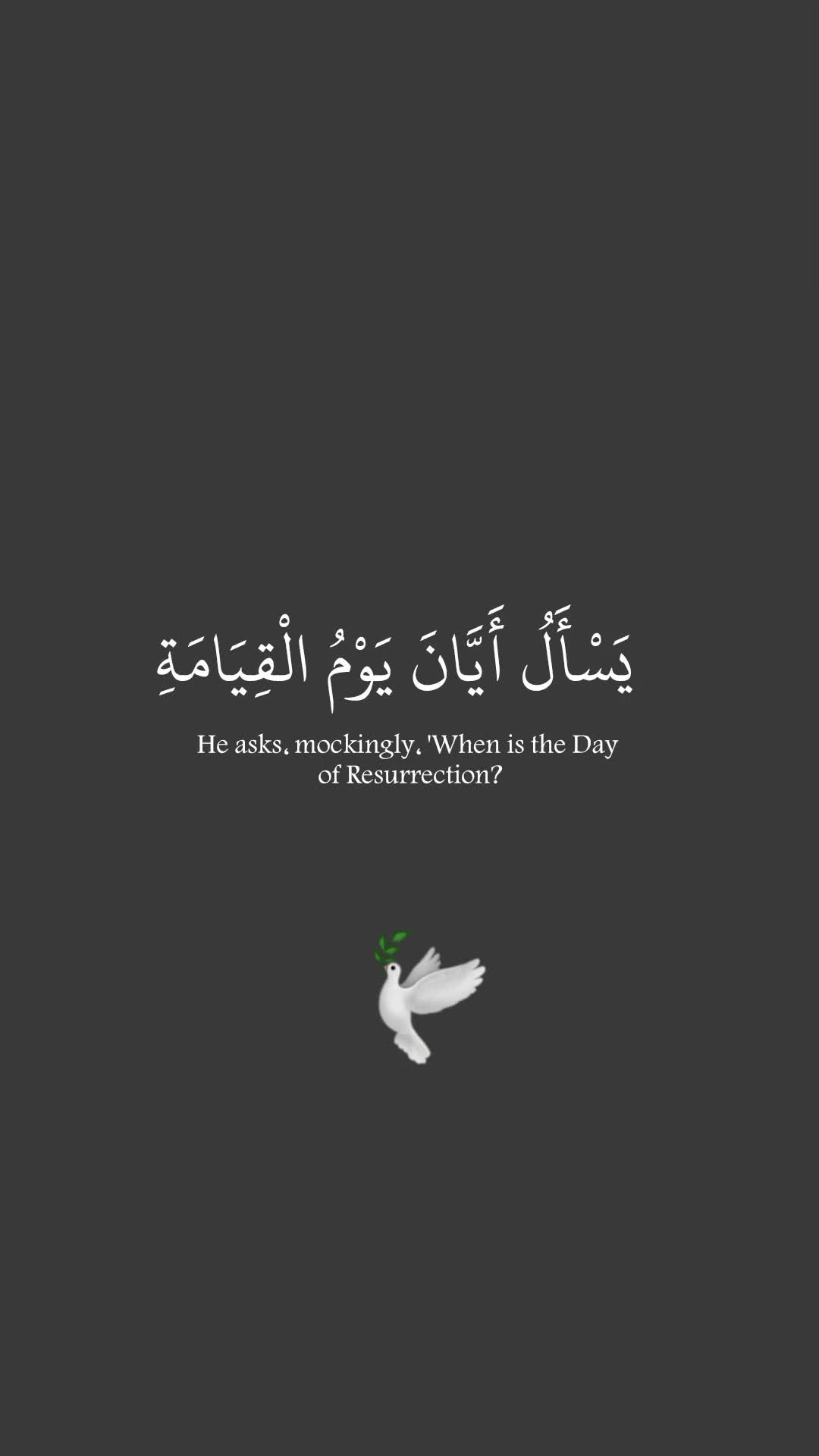 @القرآن الكريم 🕊🎧