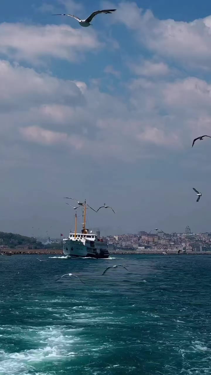@sultan Şen