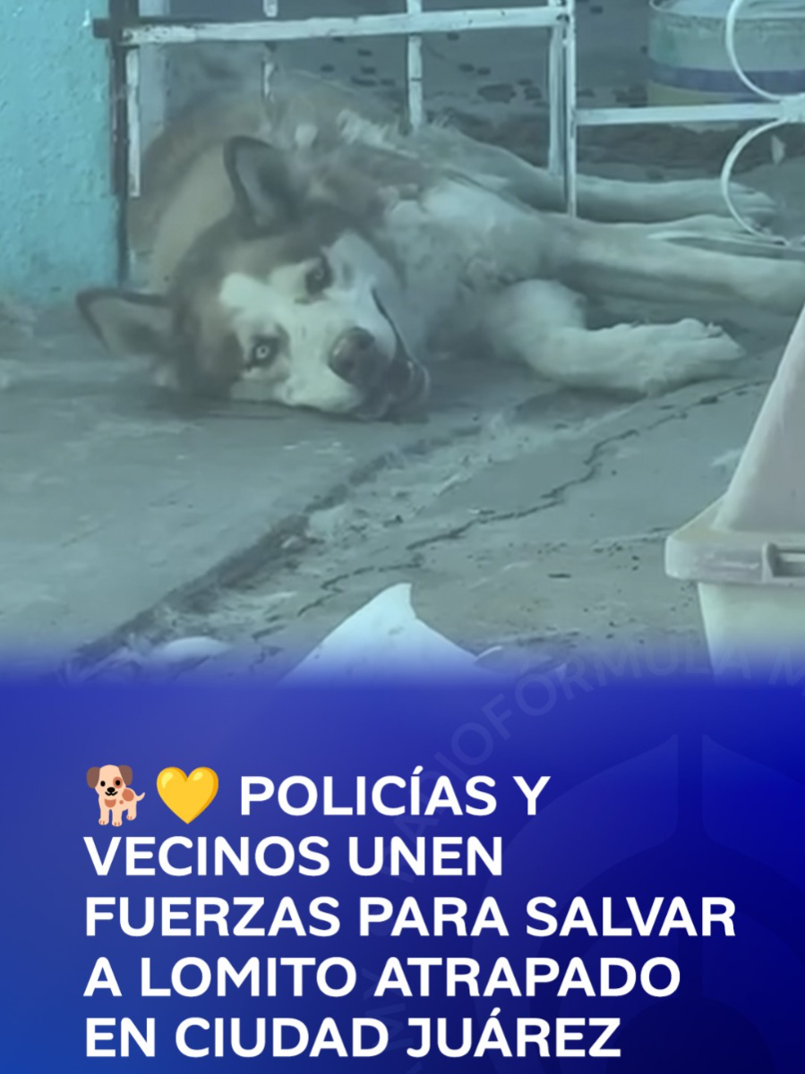 @Radio F&oacute;rmula