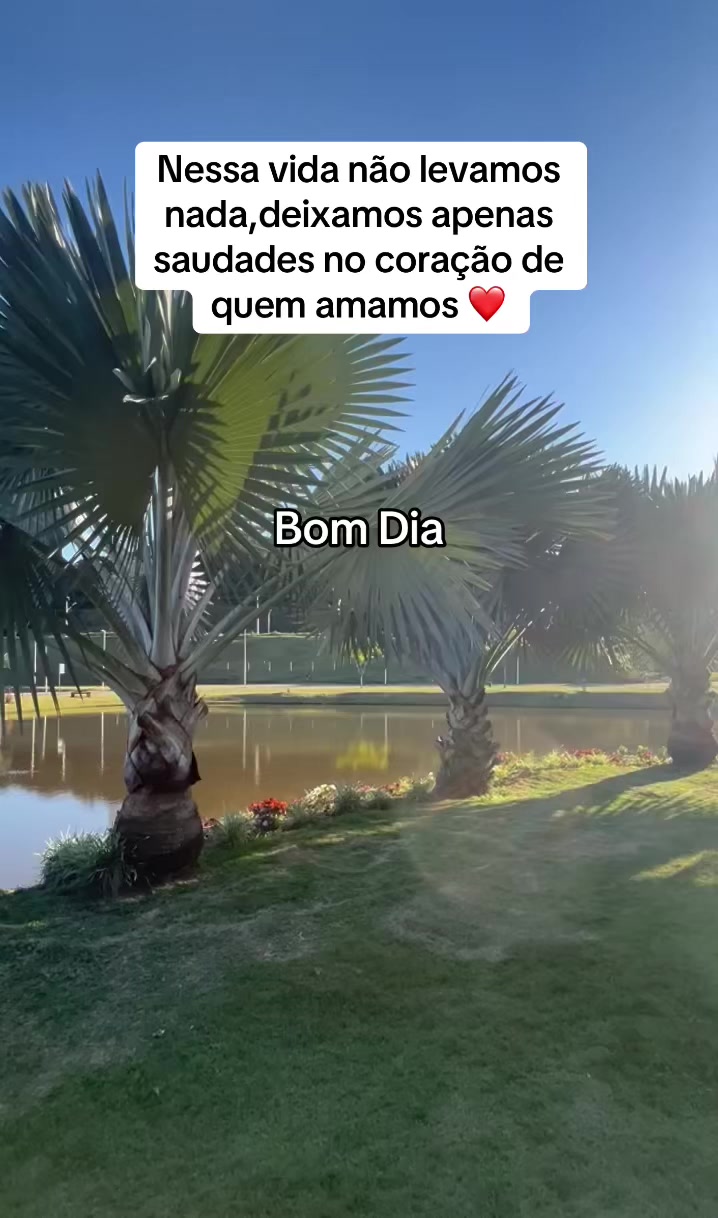 @Cida