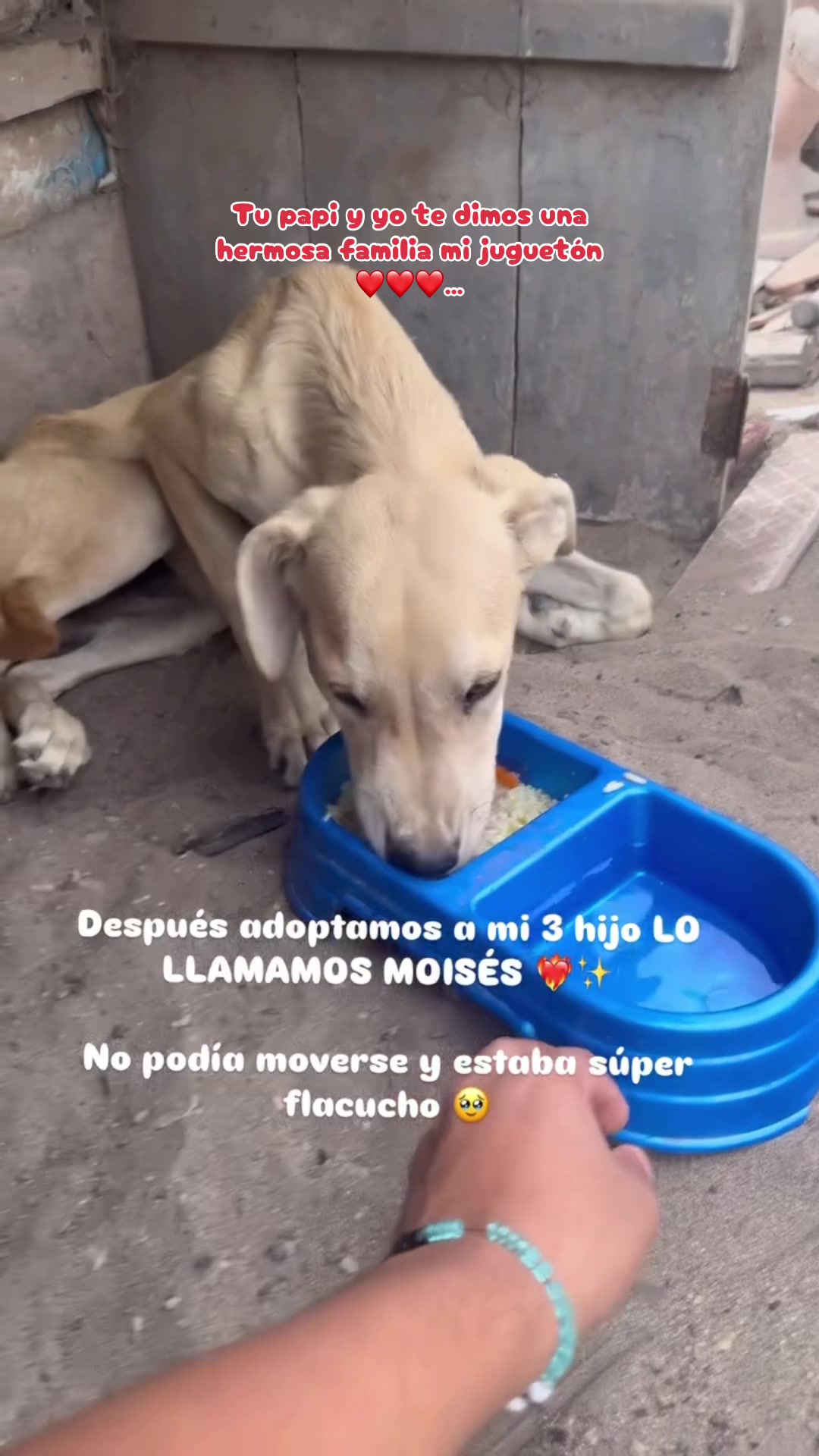 @VivianaUrus